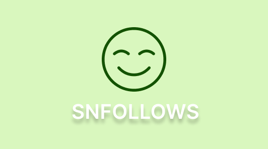 SNFollows Review